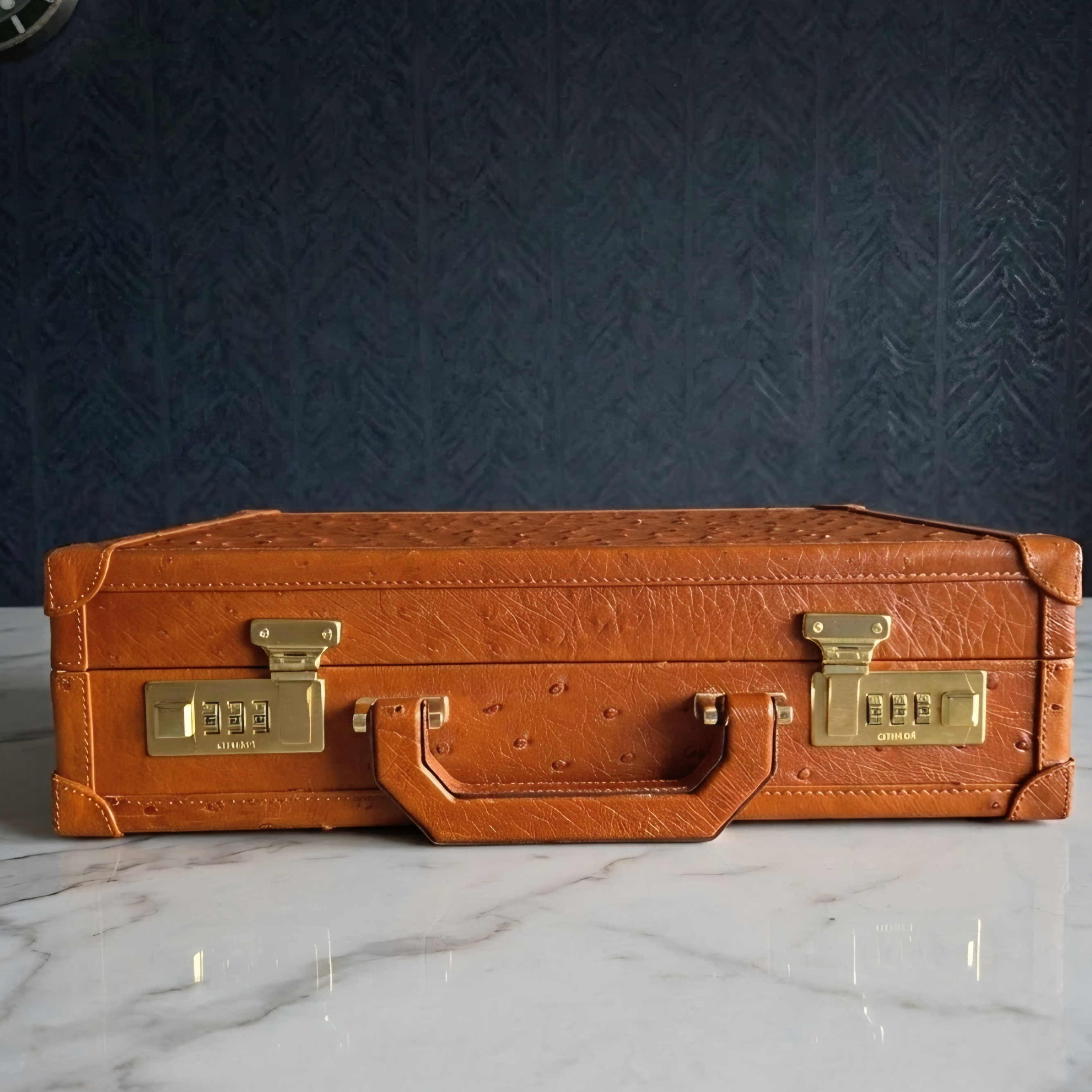 Bond Saat Kutusu 15'li Devekuşu